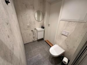 a bathroom with a toilet and a sink and a mirror at Modern Central Apartment Apt 203 Studio in Stavanger +5 photos