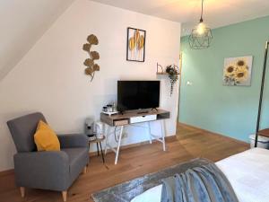 een woonkamer met een tv en een bank en een stoel bij Villa Mosan Bord de Meuse - Mes Caprices B&B in Namen