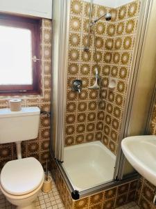 a bathroom with a shower and a toilet and a sink at Ferienwohnung Sonneck in Altenahr