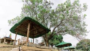 un pavillon avec un arbre en arrière-plan dans l'établissement Dome tent in Elyu will Pool Access for 10 pax, 