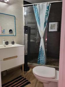 een badkamer met een toilet, een douche en een wastafel bij Maison de vacances: chez Nirina in Mortagne-sur-Sèvre