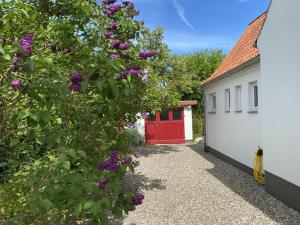 a garage with a red door and a bush with purple flowers at StrandGlück in Kleinwaabs