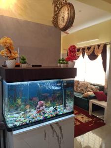 - un grand aquarium dans le salon dans l'établissement Bangalore Cozy Homestay Near IKEA & BIEC, à Bangalore