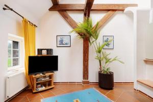 a living room with a flat screen tv and a plant at Galerie Haus Wohnung 1 in Sehestedt