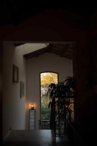 a room with a window and a plant in it at La Villa in Cervia