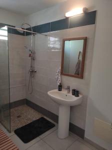ein Bad mit einem Waschbecken und einer Dusche mit einem Spiegel in der Unterkunft Villa Smile House in Les Trois-Îlets