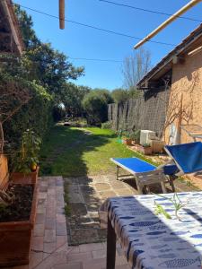 a patio with a table and a blue table cloth at LE DUNE SUL MARE in Castiglione della Pescaia