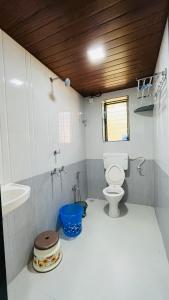 Baño pequeño con aseo y lavamanos en R R Villa, en Alibaug