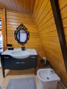 La salle de bains est pourvue d'un lavabo, d'un miroir et de toilettes. dans l'établissement Chalet by the lake, à Piatra Neamţ