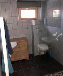 uma casa de banho com um lavatório, um WC e uma janela. em Gîte de Juliana 4 personnes em Sundhouse