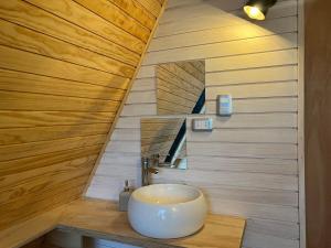 a bathroom with a sink and a wooden wall at Precioso refugio en Villa Castillo Servicio Outscape in Villa Cerro Castillo