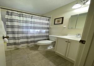 a bathroom with a toilet and a sink and a shower curtain at Modern 2 Bed One Bath At West Side in New York