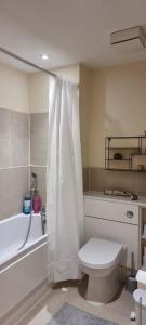 e bagno con servizi igienici, vasca e lavandino. di Stunning 2-Bed Apartment near Colindale Station a Hendon