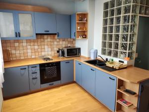 a kitchen with blue cabinets and a counter top at Rila Apartment in Samokov