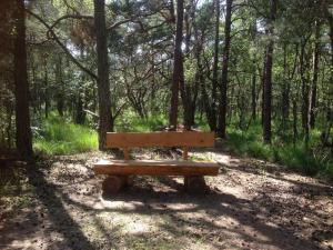 um banco de madeira sentado no meio de uma floresta em Eikkater 4 EG em Graal-Müritz