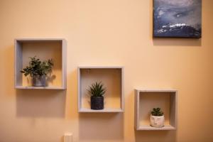 two shelves with potted plants on a wall at Villa Aldo e Lalla in Rozzano