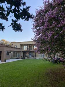 an exterior view of a building with a tree with purple flowers at Rockaway Apart in Miramar