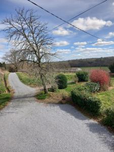 a gravel road with a tree on the side of it at Maison de campagne Les Chênes. in Panjas