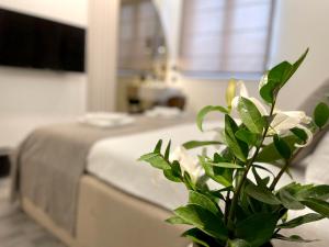 Letto o letti in una camera di Hotel NPL CODE