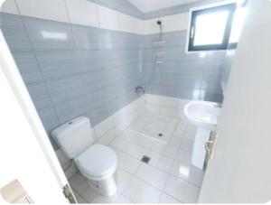 a white bathroom with a toilet and a sink at Elvi Apartment 1 in Rachonio