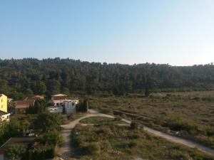 a road in the middle of a field with trees at Apartment Tijana in Sutomore