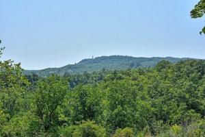 a view of a forest with mountains in the background at Villa Zita u Svicima for 10 people with jacuzzi & sauna in Central Istria in Pićan