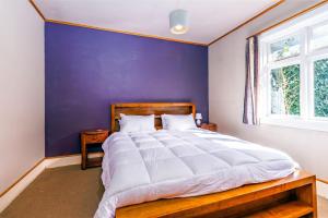 梅斯文的住宿－Forest House Methven，一间卧室配有一张大床和紫色墙壁