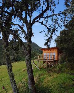 a cabin in the middle of a field with a tree at Glamping Paraiso en La montaña in La Calera