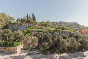 una colina con árboles y un camino de tierra en Living Stone - Beryl en Athens