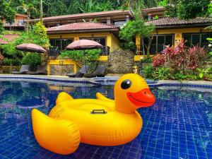 two inflatable rubber ducks in a swimming pool at patong beautiful pool villa in Patong Beach