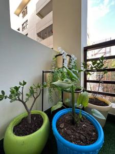 twee potten met planten op een balkon bij Your cozy home in Dehradun