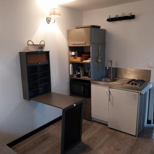 a small kitchen with a counter and a refrigerator at Le petit nid de Muzy in Muzy