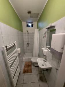 La salle de bains est pourvue de toilettes et d'un lavabo. dans l'établissement VV ART, unique Vila in Ljubljana city center, à Ljubljana