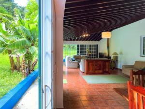 a living room with a view of a living room at Casa Tia Néné - Green Glassyard in Lagoa