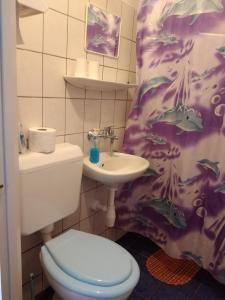 Bükk Vendeghaz في نوسفاج: حمام مع مرحاض ومغسلة
