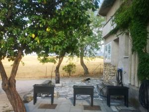 Zahrada ubytování Agradable casa con jardín: Casasola