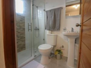 a bathroom with a toilet and a shower and a sink at 3 BR apartment - READY for your stay WIFI Pool Great Location in Santiago de los Caballeros
