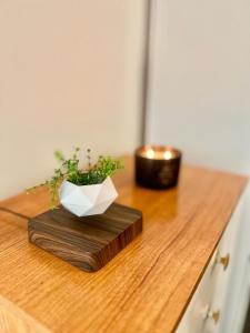 a plant sitting on a wooden counter with a candle at Homestay in Waltham Abbey