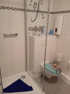 a bathroom with a shower with a toilet and a sink at Kleine Auszeit am Meer in Büsum