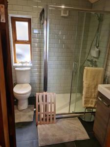 a bathroom with a shower and a toilet and a sink at The Bothy in Caernarfon