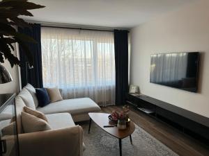 uma sala de estar com um sofá e uma televisão em City chic rental em Valmiera