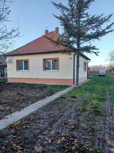Radava 52 في Radava: منزل أمامه شجرة