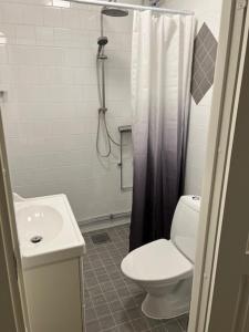 a bathroom with a toilet and a shower and a sink at Vasacenter B&B in Transtrand