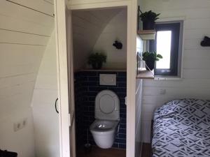 ein kleines Bad mit WC in einem Schlafzimmer in der Unterkunft Ite, sliepe en geniete in Slappeterp