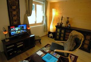 TV a/nebo společenská místnost v ubytování Large Deluxe Studio - Chalet Lovo