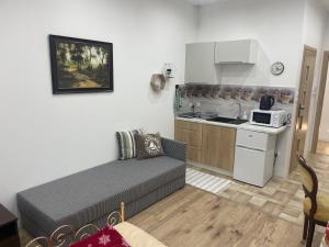 uma sala de estar com um sofá e uma cozinha em Cichy Zaułek 9 em Brodnica