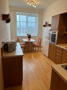 米洛維采的住宿－Apartmán Esser 3，厨房配有桌子、冰箱和桌椅