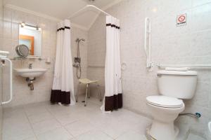 a bathroom with a toilet and a sink and a shower at Apart Hotel Villa Los Ciruelos in Valdivia +41 photos