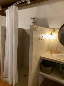 y baño con cortina de ducha y lavamanos. en La Gersoise, en Estang