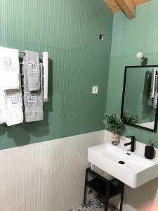 a green bathroom with a sink and a mirror at Covo Residence - Casa Santiago in Vila Nova de Paiva
